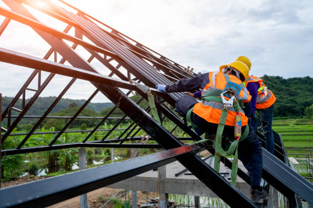 Best Metal Roofing Contractor  in Palmview South, TX