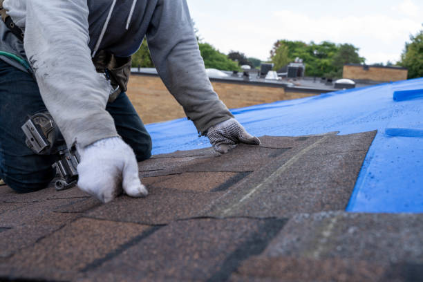 Quick and Trustworthy Emergency Roof Repair Services in Palmview South, TX