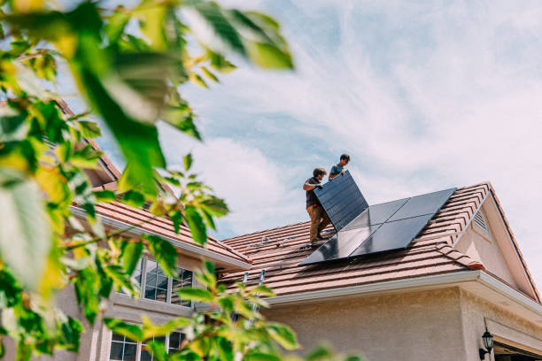 Best Roof Gutter Cleaning  in Palmview South, TX
