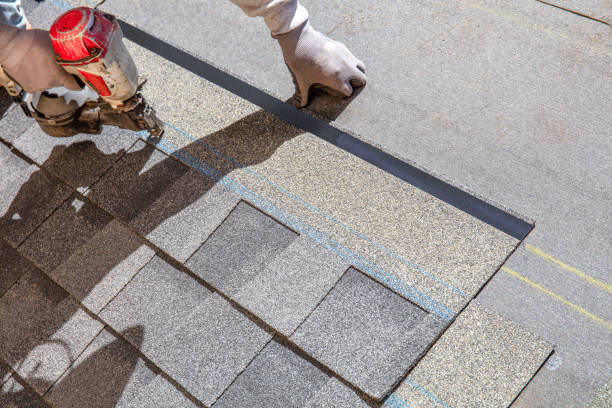 Best Storm Damage Roof Repair  in Palmview South, TX